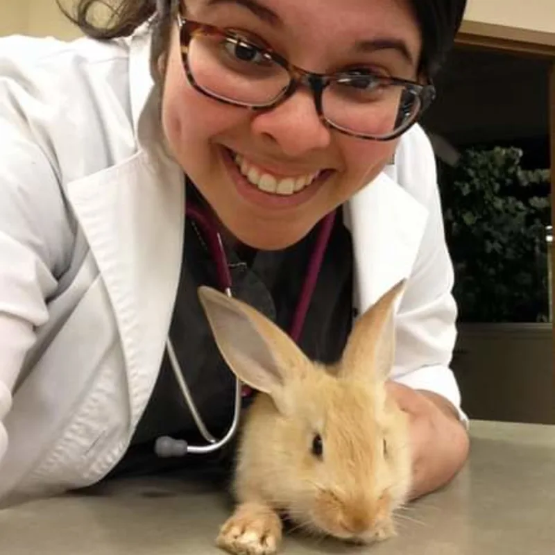 Dr. Meera Music Dr. Meera Music