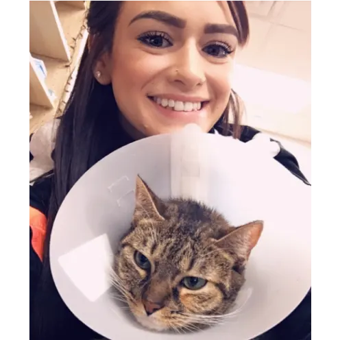Woman Smiling Holding a Cat with a Cone