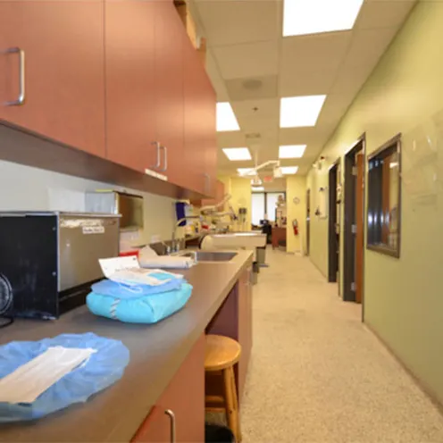 Animal Medical Clinic of Wheaton Animal Medical Clinic of Wheaton