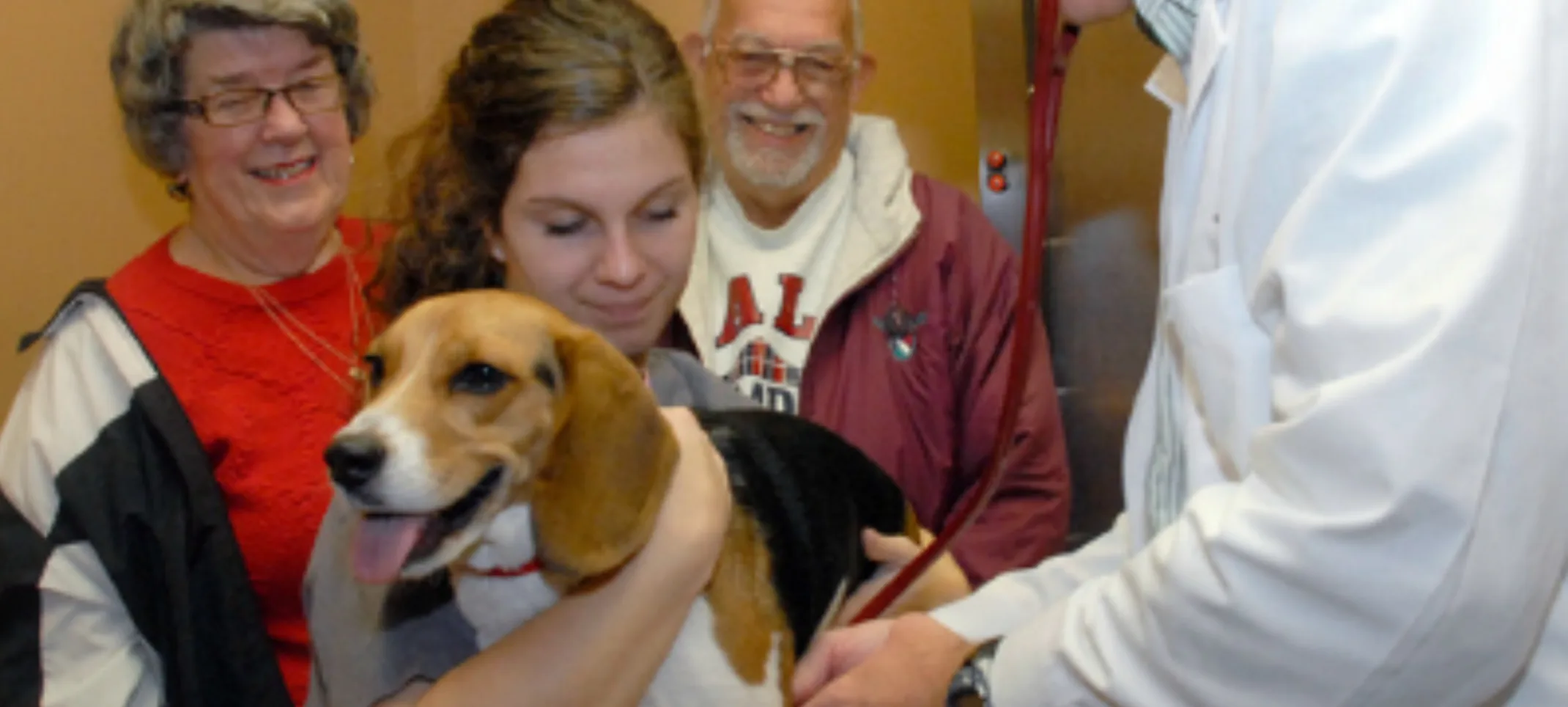 Doctor and staff member caring for a Beagle dog with owners standing behind