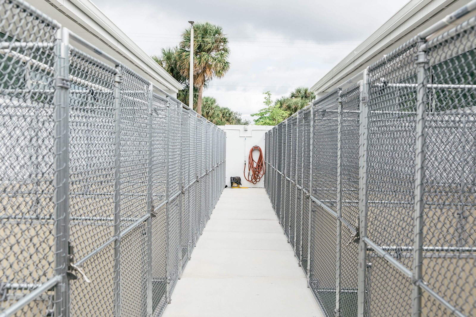 Pompano Pet Lodge Dog Suite Area