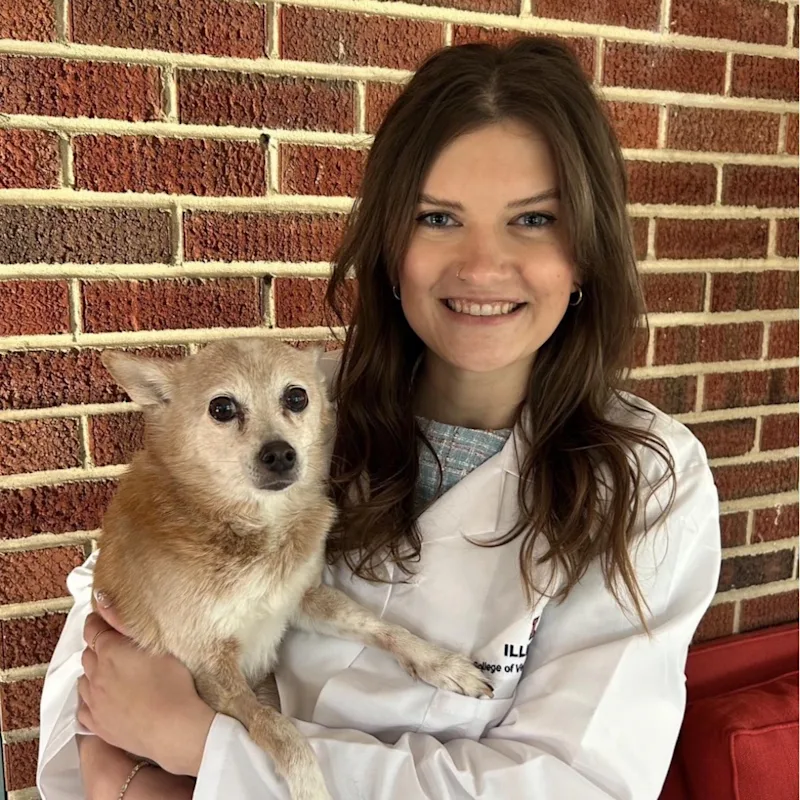 Dr. Tess Santoro, DVM Dr. Tess Santoro, DVM