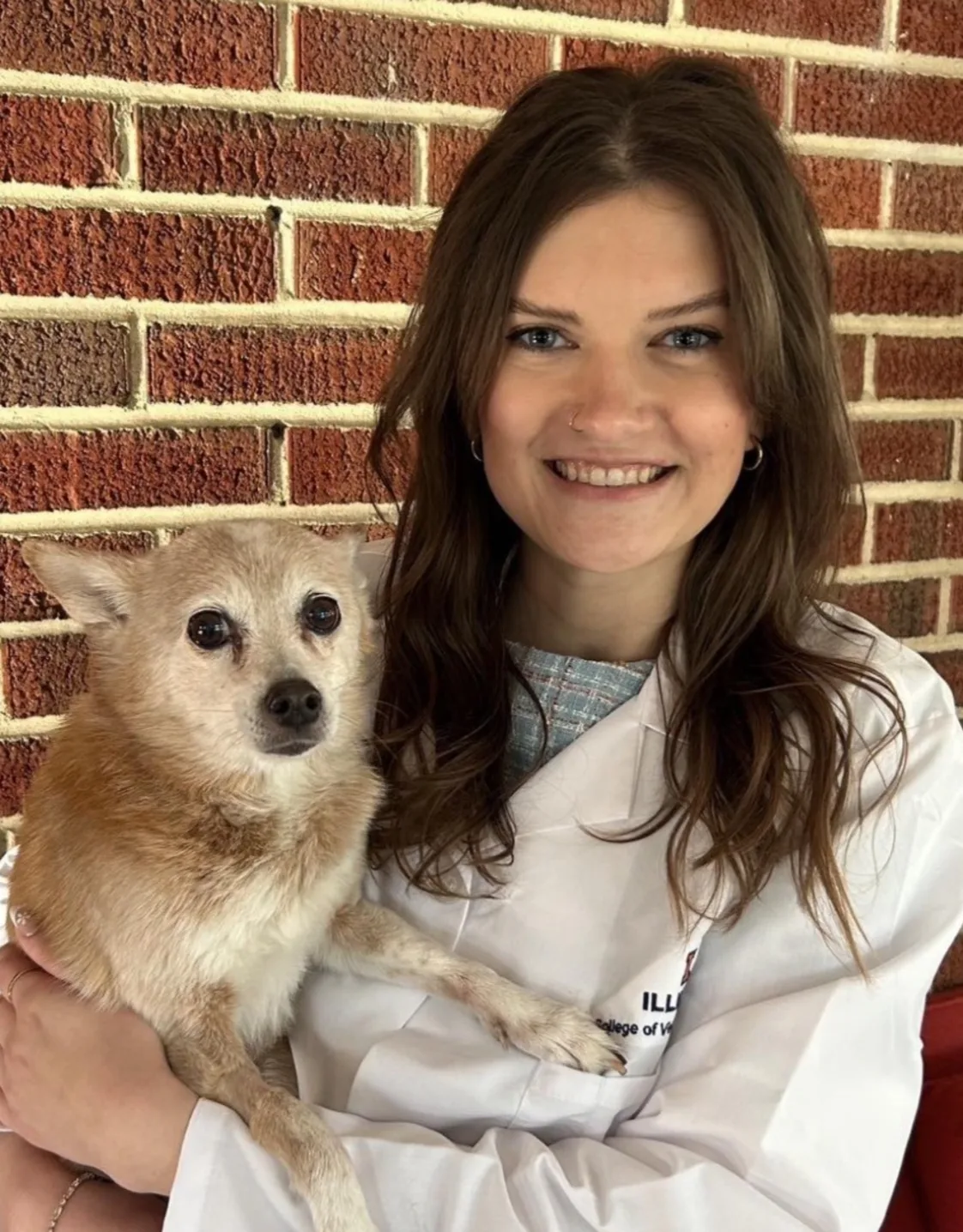 Dr. Tess Santoro, DVM Dr. Tess Santoro, DVM