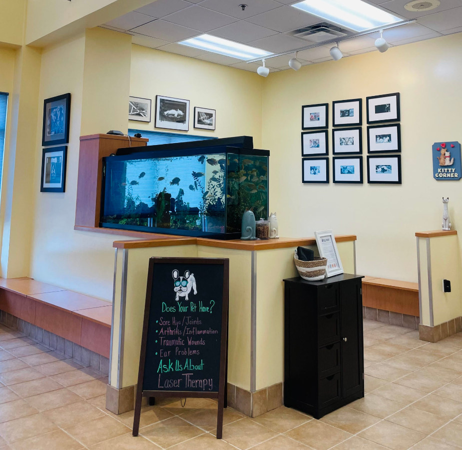 Huffard Lobby and Fish Tank