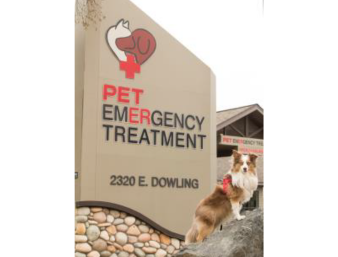 Dog in front of an ER sign