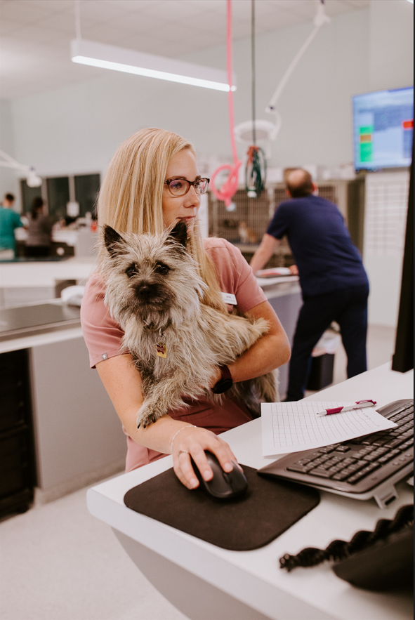 Frontier Village Veterinary Clinic staff member on the computer holding a small dog