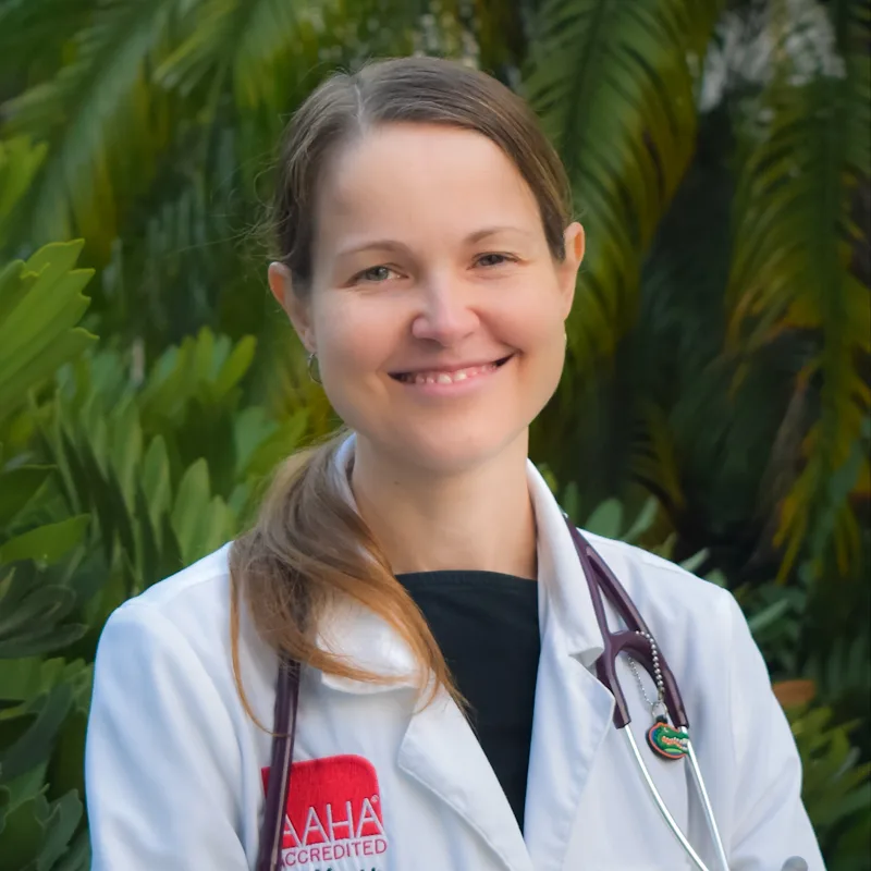 Dr. Stephanie Knapp Dr. Stephanie Knapp