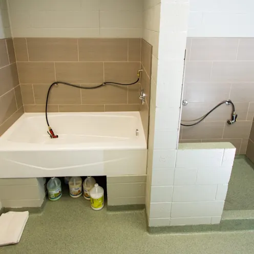 bathing area bathing area