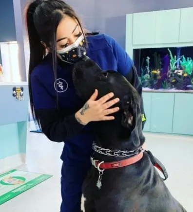 Izzy holding a pit bull mix wearing a LA Rams jersey