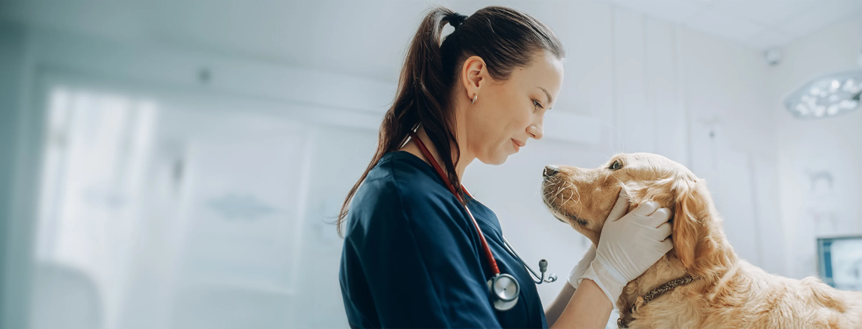 staff member looking at dog