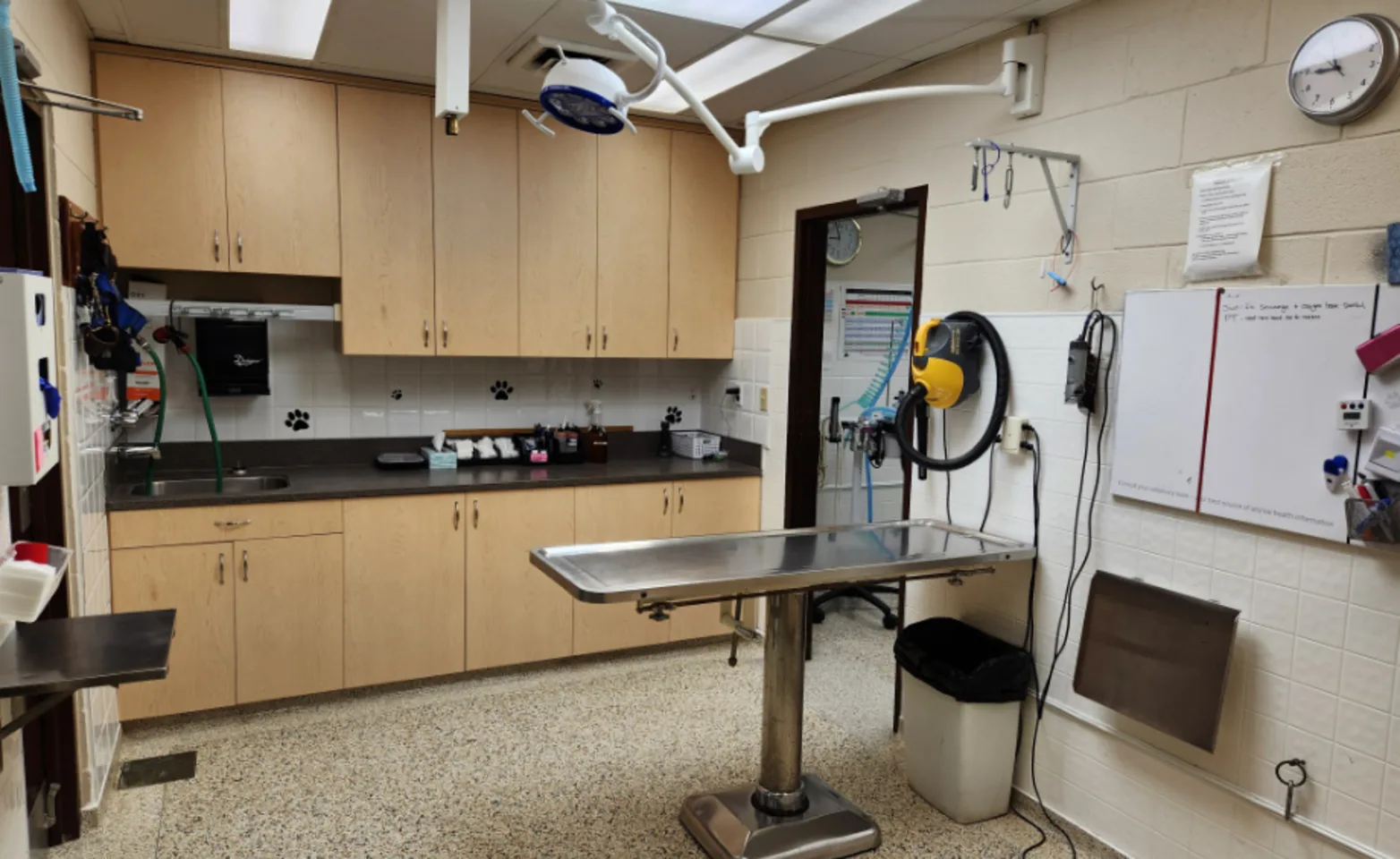 Treatment Room at Mount Brydges Animal Clinic Treatment Room at Mount Brydges Animal Clinic