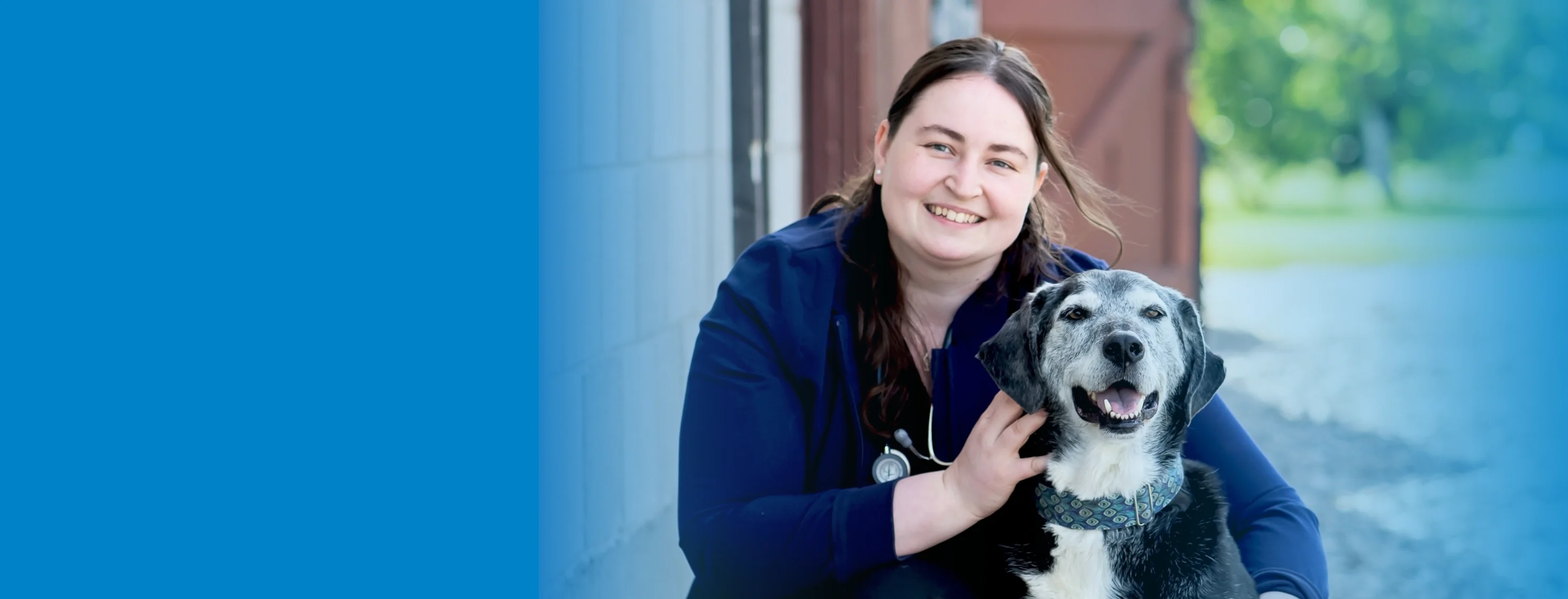 Heather Fledderus, RVT at Beattie Pet Hospital in Brantford, ON Heather Fledderus, RVT at Beattie Pet Hospital in Brantford, ON