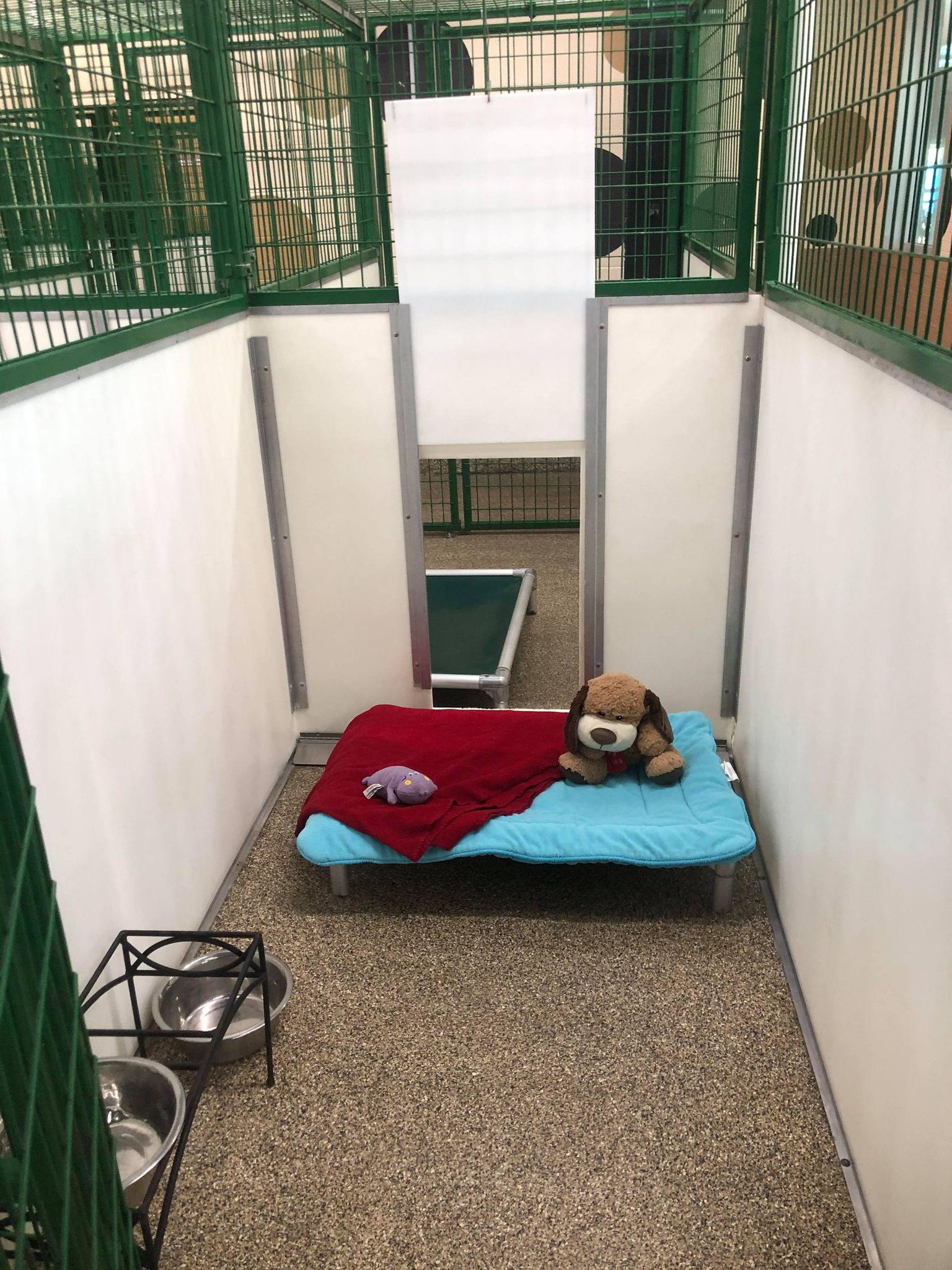 Boarding room front angle with doggy door open