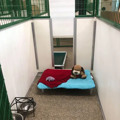 Boarding room front angle with doggy door open Boarding room front angle with doggy door open