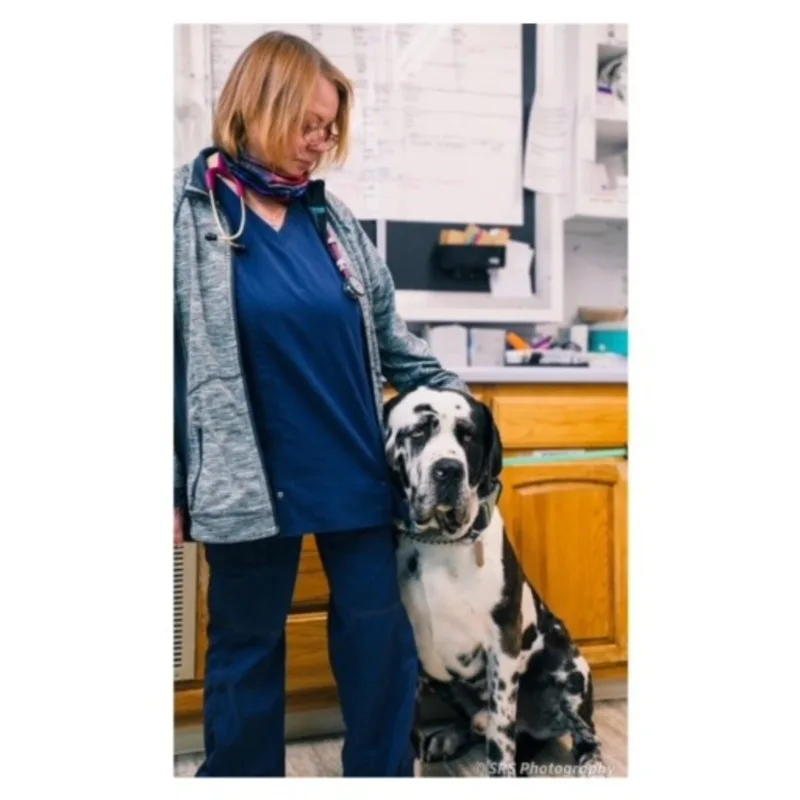 In loving memory of Dr. Jamie Hart In loving memory of Dr. Jamie Hart