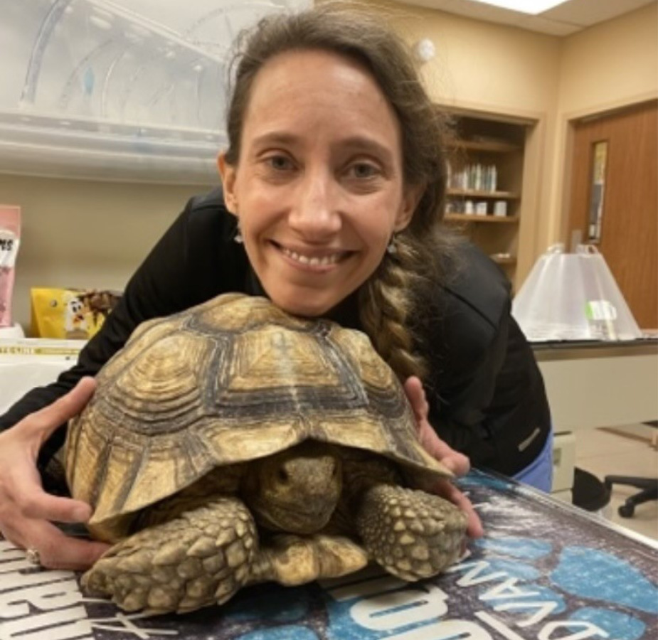 Veterinarian smiling with a turtle