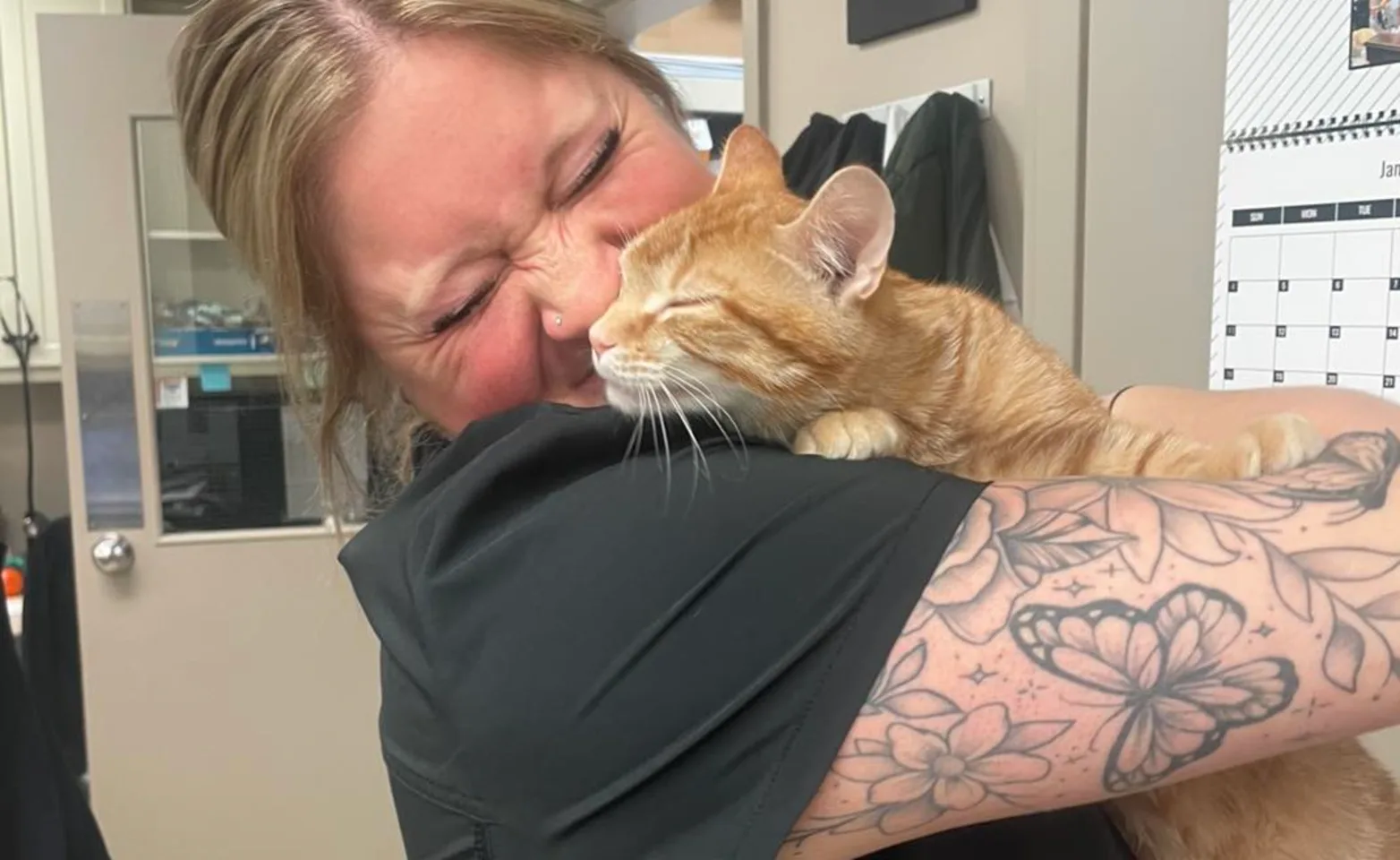 Feline Pet Care Plan Feline Pet Care Plan