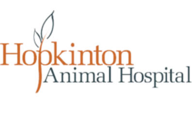 Hopkinton Animal Hospital - Photo 3