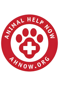 Animal Help Now