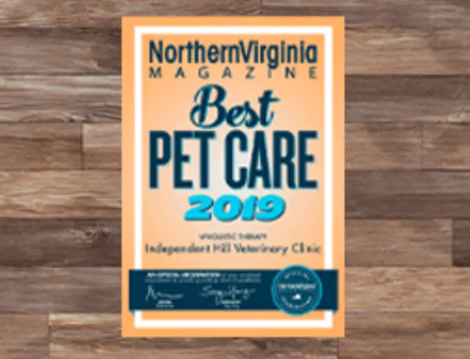 Best Pet Care Award 2019