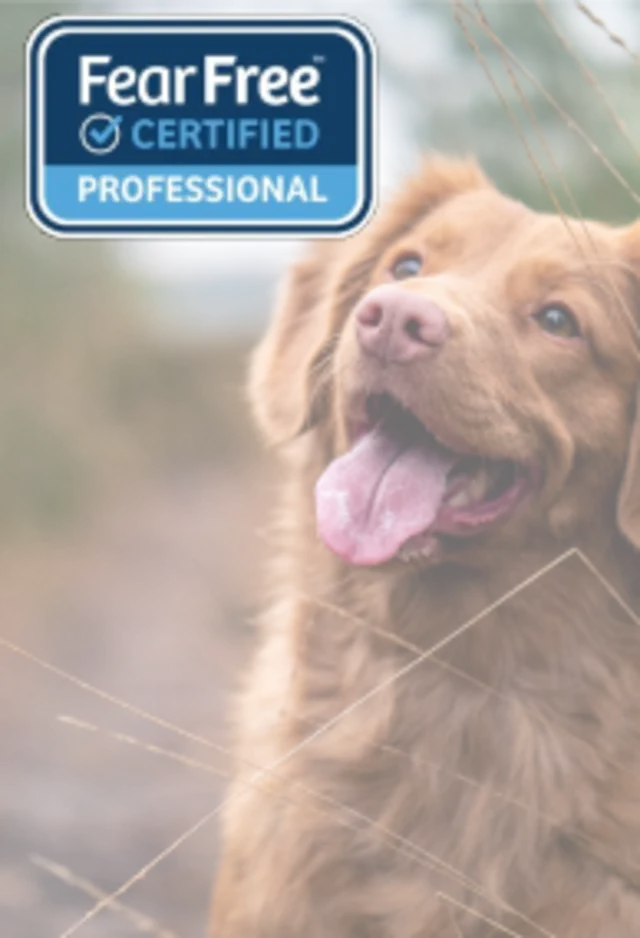 Fear Free Certified Fear Free Certified