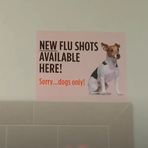 Flu shot for dogs sign on the wall