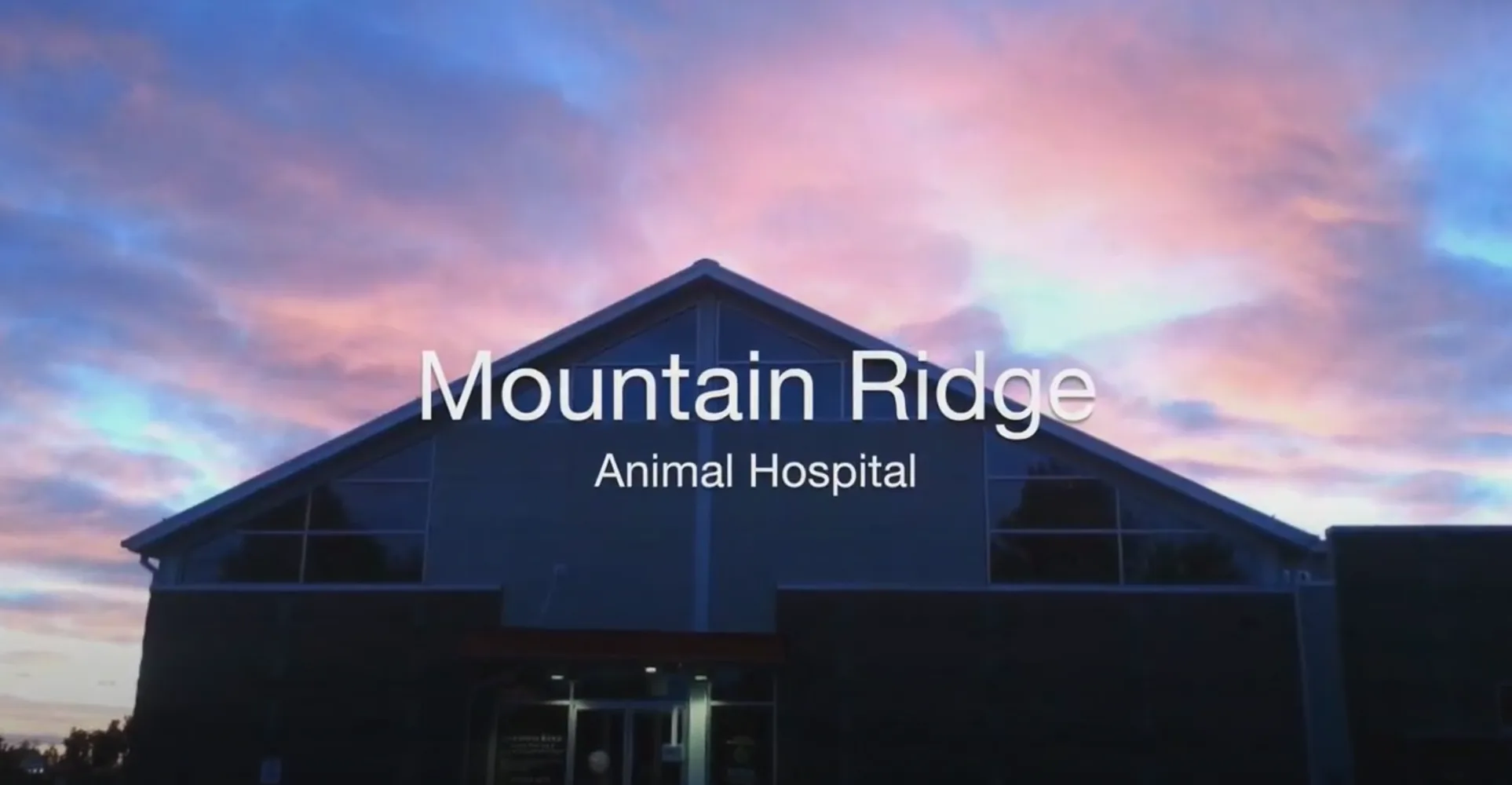 Mountain Ridge Animal Hospital