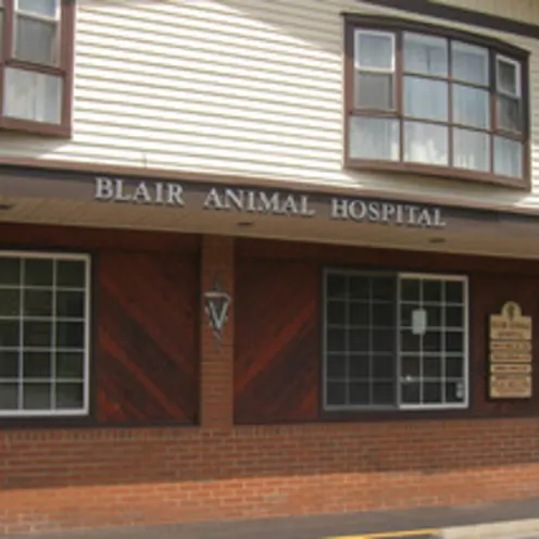 Blair Animal Hospital Exterior Blair Animal Hospital Exterior