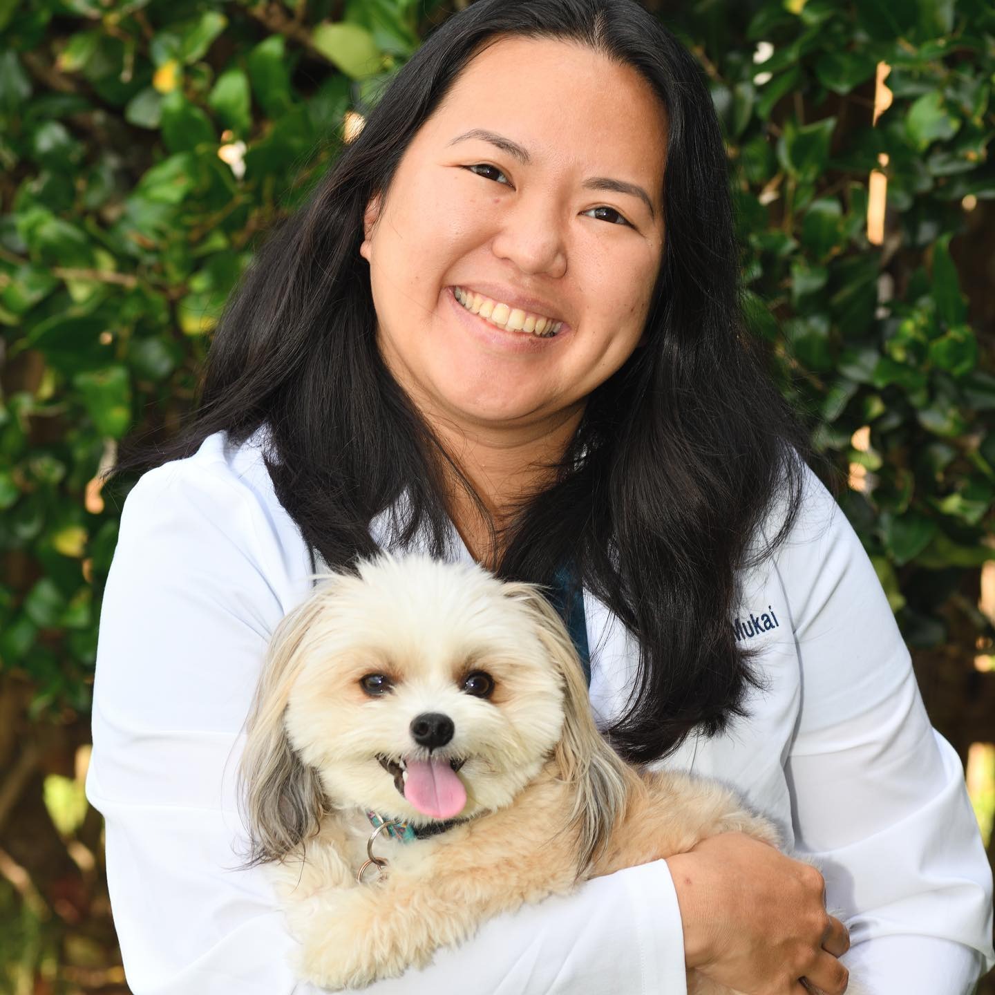 Dr. Cheryl Mukai holding and supporting a dog for the camera 