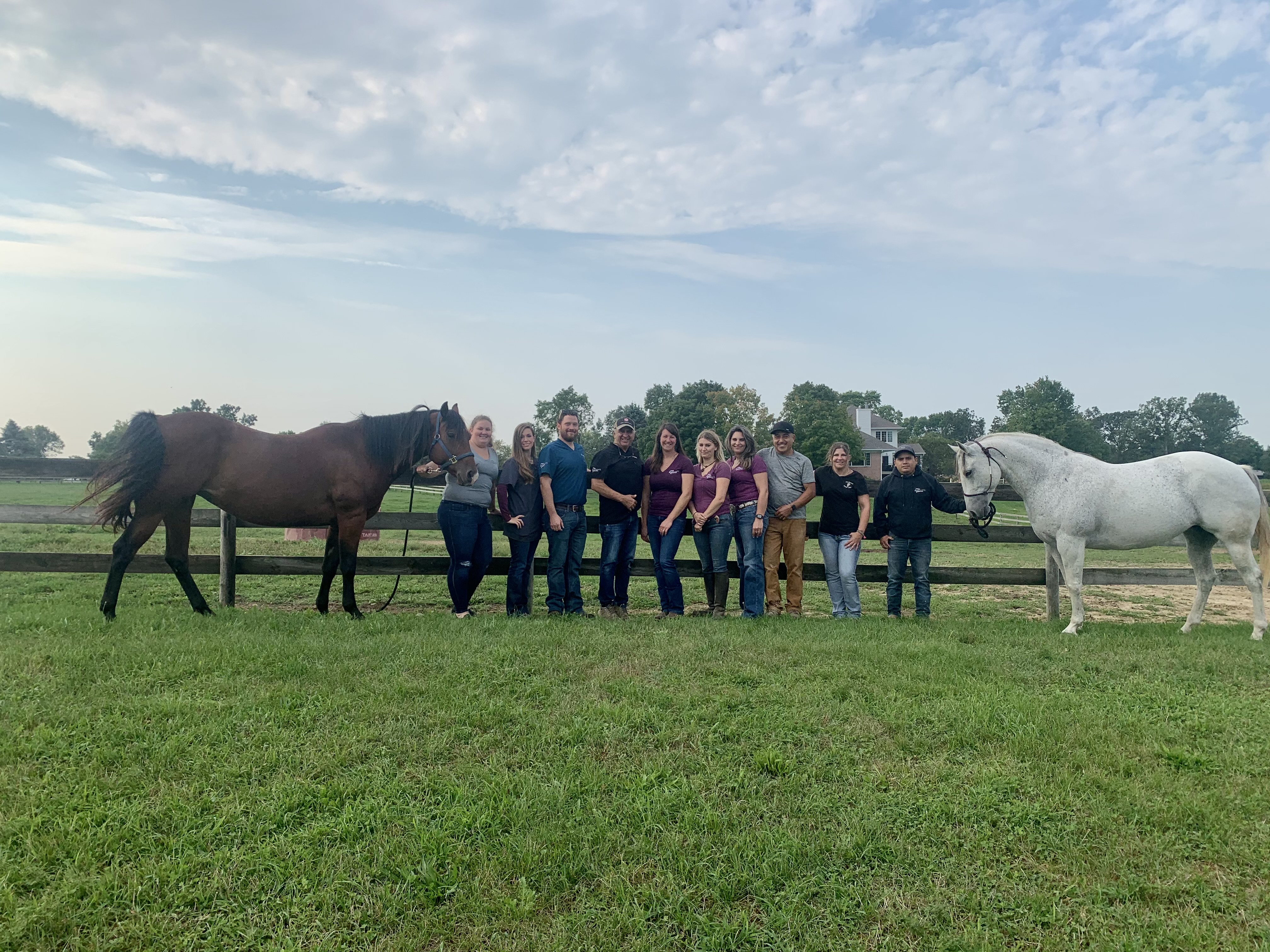 Abraham's Equine Clinic team and two horses standing on a field