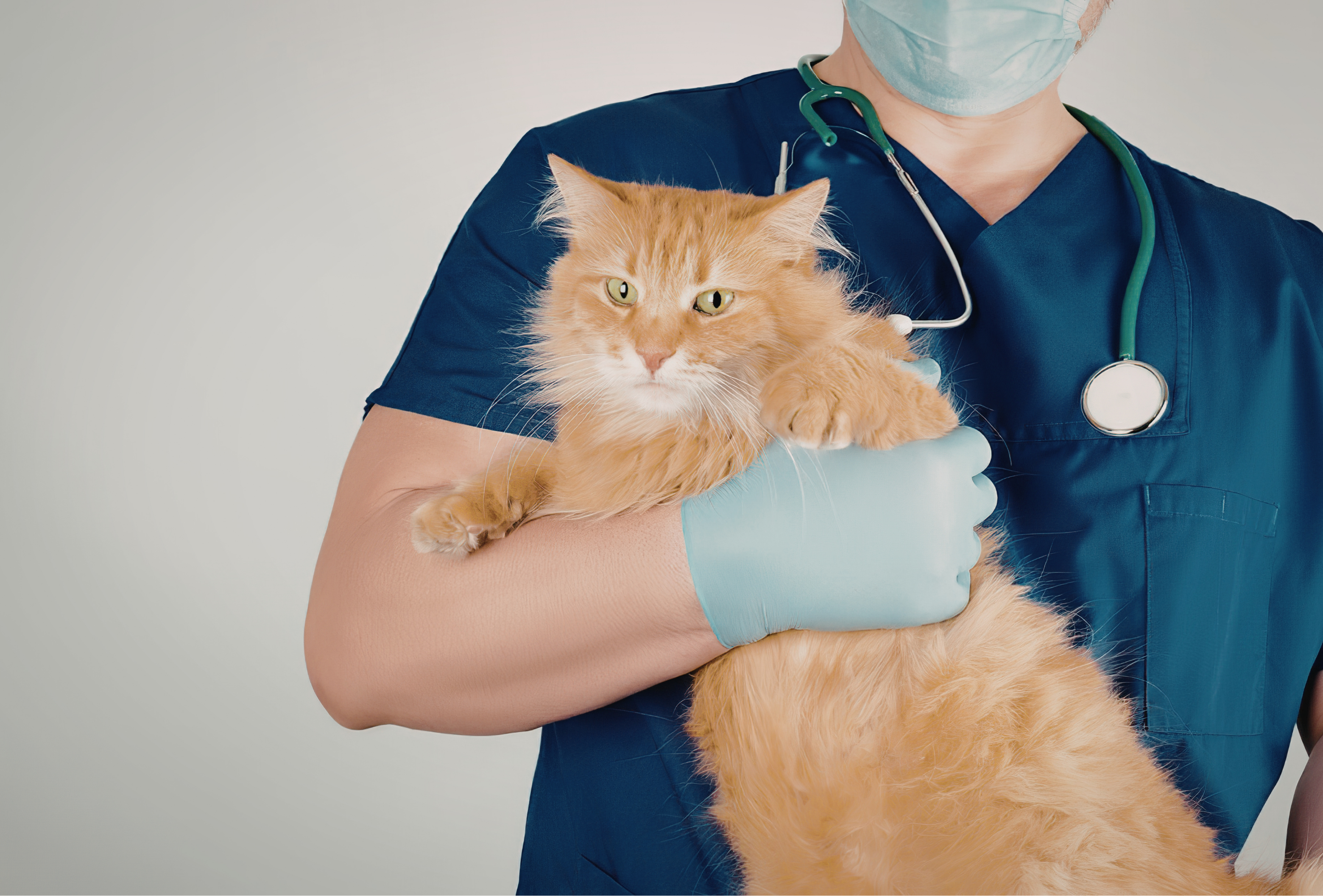 Vaccinations