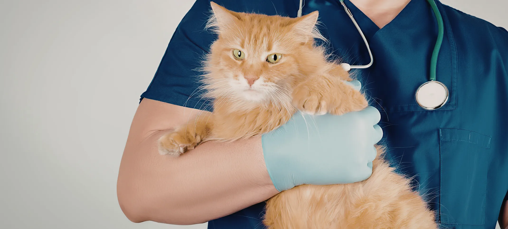 Vaccinations Vaccinations