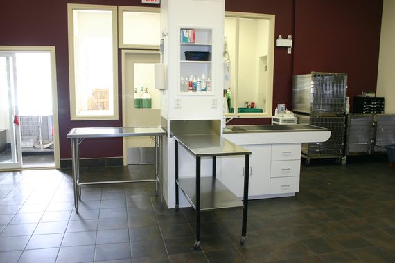 Treatment Area 