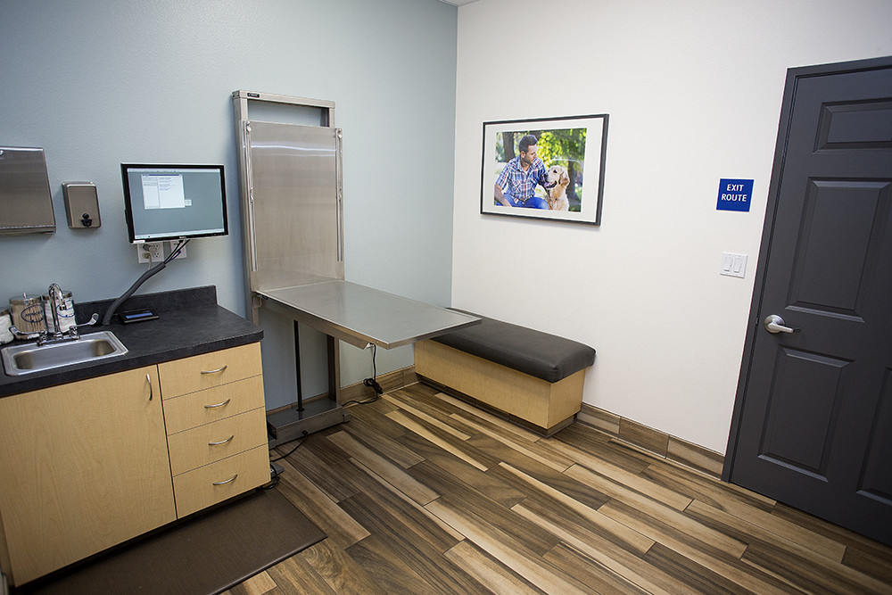 Examination room at Goldorado Animal Hospital with exam table and seating area