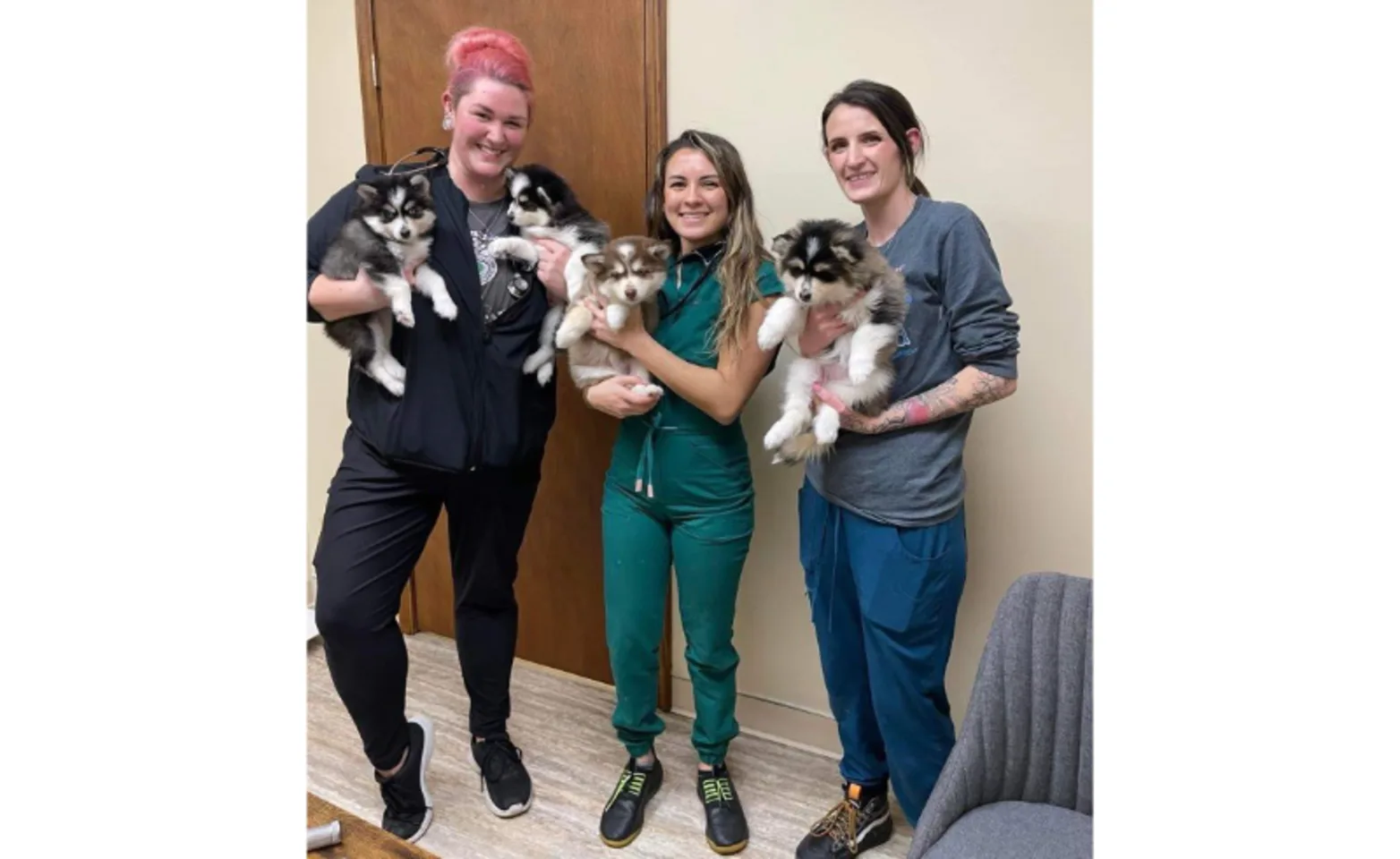 3 Staff Members Holding Puppies at Sheridan Road Veterinary Clinic 3 Staff Members Holding Puppies at Sheridan Road Veterinary Clinic