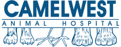 Camelwest Animal Hospital-FooterLogo