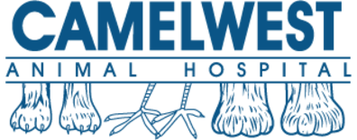 Camelwest Animal Hospital Logo Camelwest Animal Hospital Logo