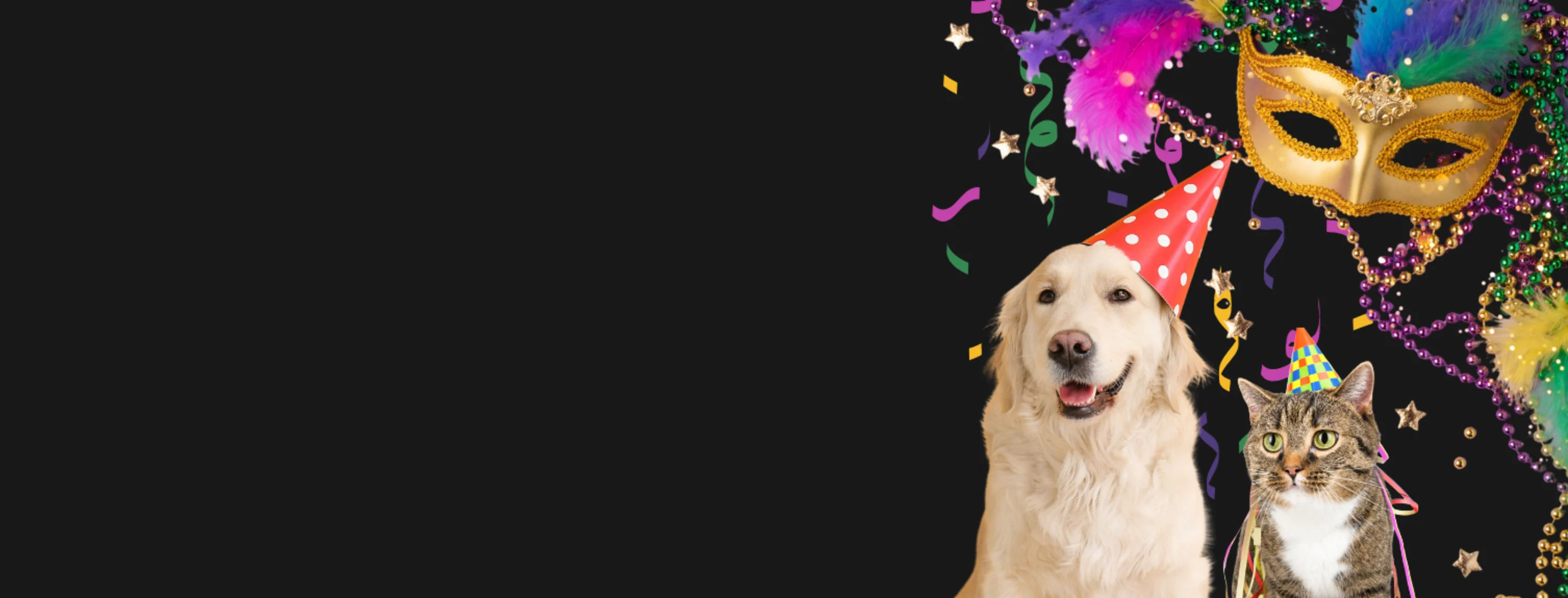 Dog & Cat in Front of Mardi Gras Decorations Dog & Cat in Front of Mardi Gras Decorations