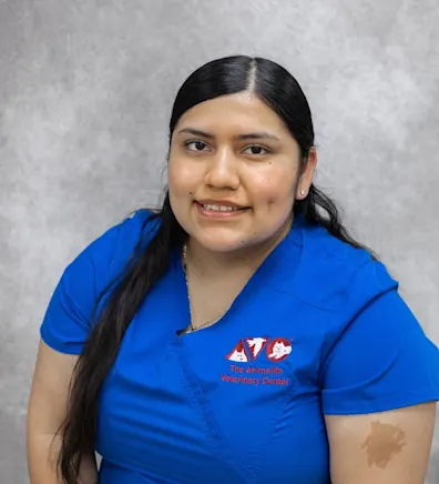 Lizett Alvarado Lizett Alvarado