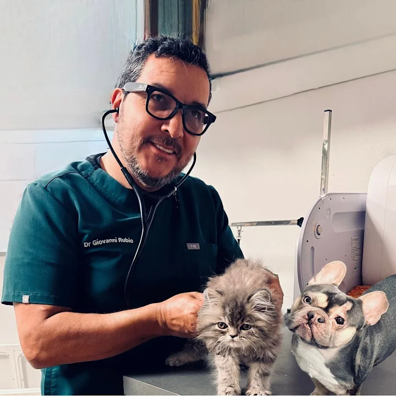 Dr. Rubio Dr. Rubio