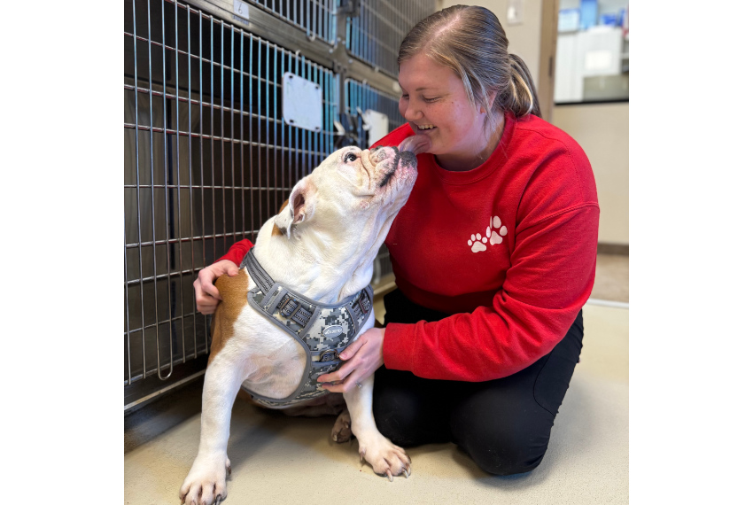 Wet Kisses at Our Clinic
