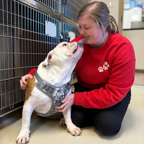Wet Kisses at Our Clinic Wet Kisses at Our Clinic