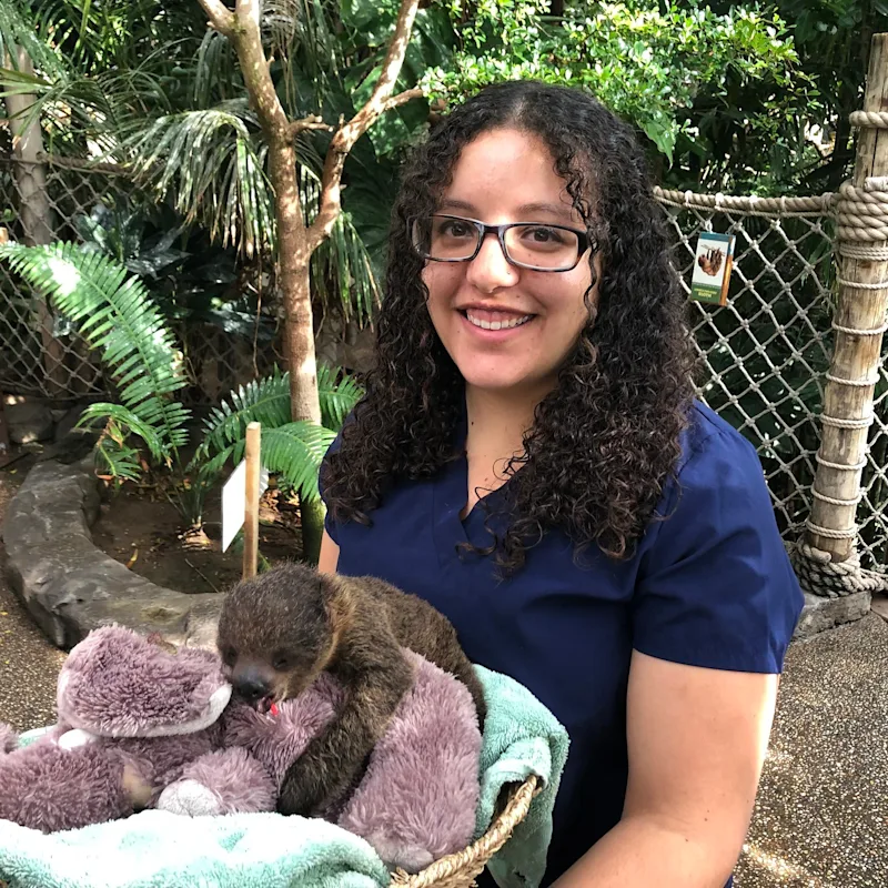 Dr. Sarah Abdelmessih Dr. Sarah Abdelmessih