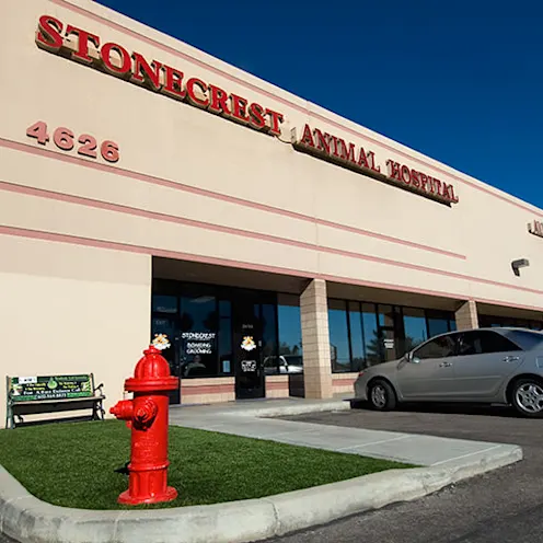 Front entrance of Stonecrest Animal Hospital