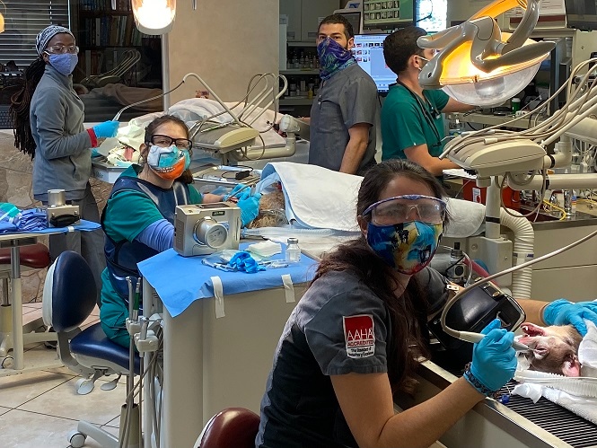 Dental techs at Hometown Animal Hospital.