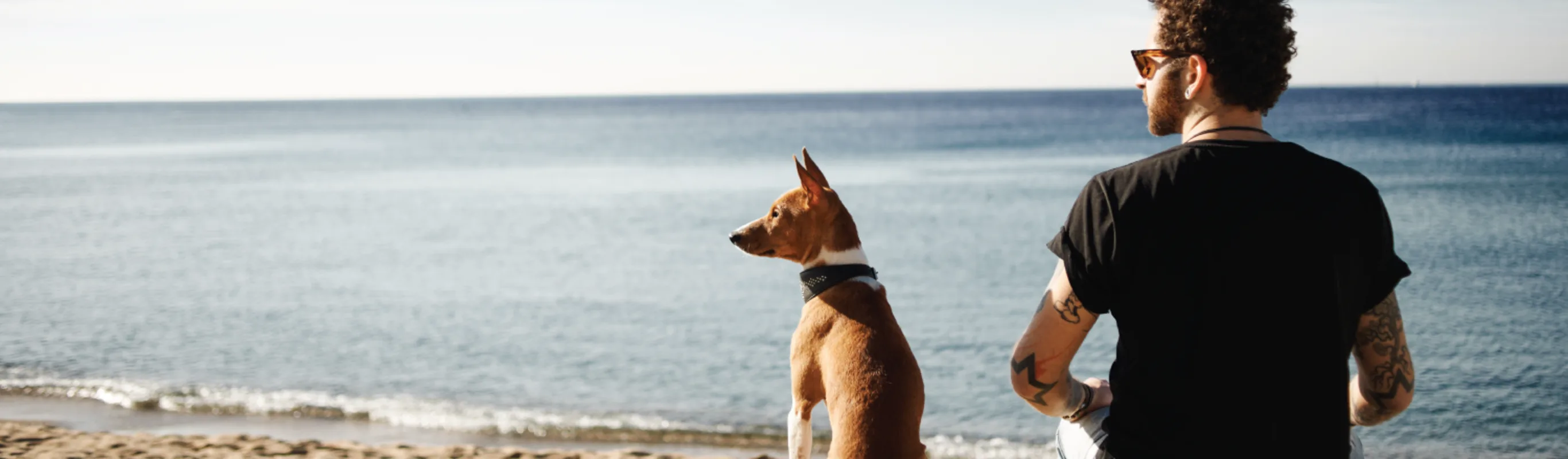 Dog and Man Sitting in the Sand