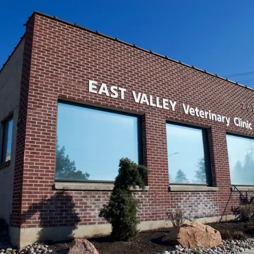 Brick Exterior of East Valley Veterinary Clinic