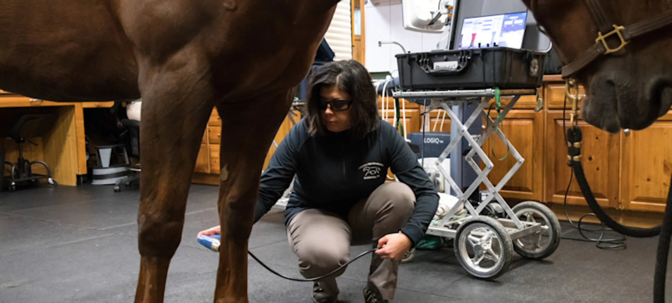 A vet tending to a horse's backleg using a device A vet tending to a horse's backleg using a device
