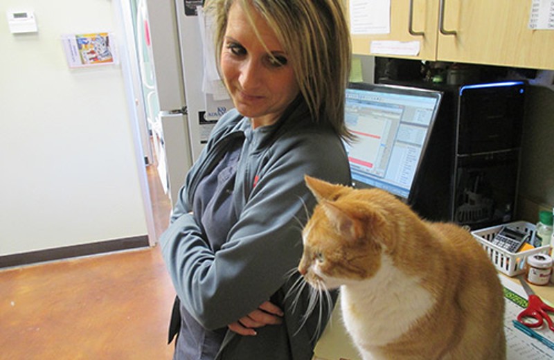 Woman Staring at Orange Cat Next to Her