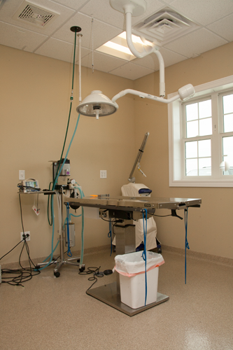 Hawthorne Park Animal Care Center Surgery Area